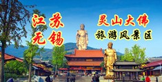 草b网免费视频看看江苏无锡灵山大佛旅游风景区